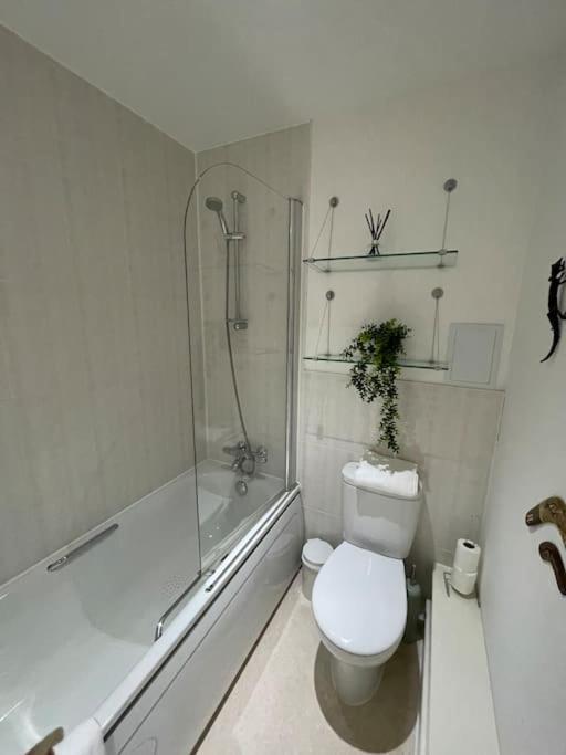 Luxury 2bed 2bath View Flat